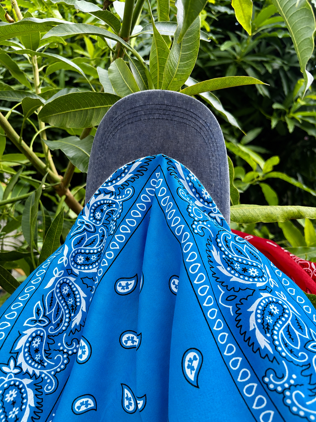 Sky Flex BandHat