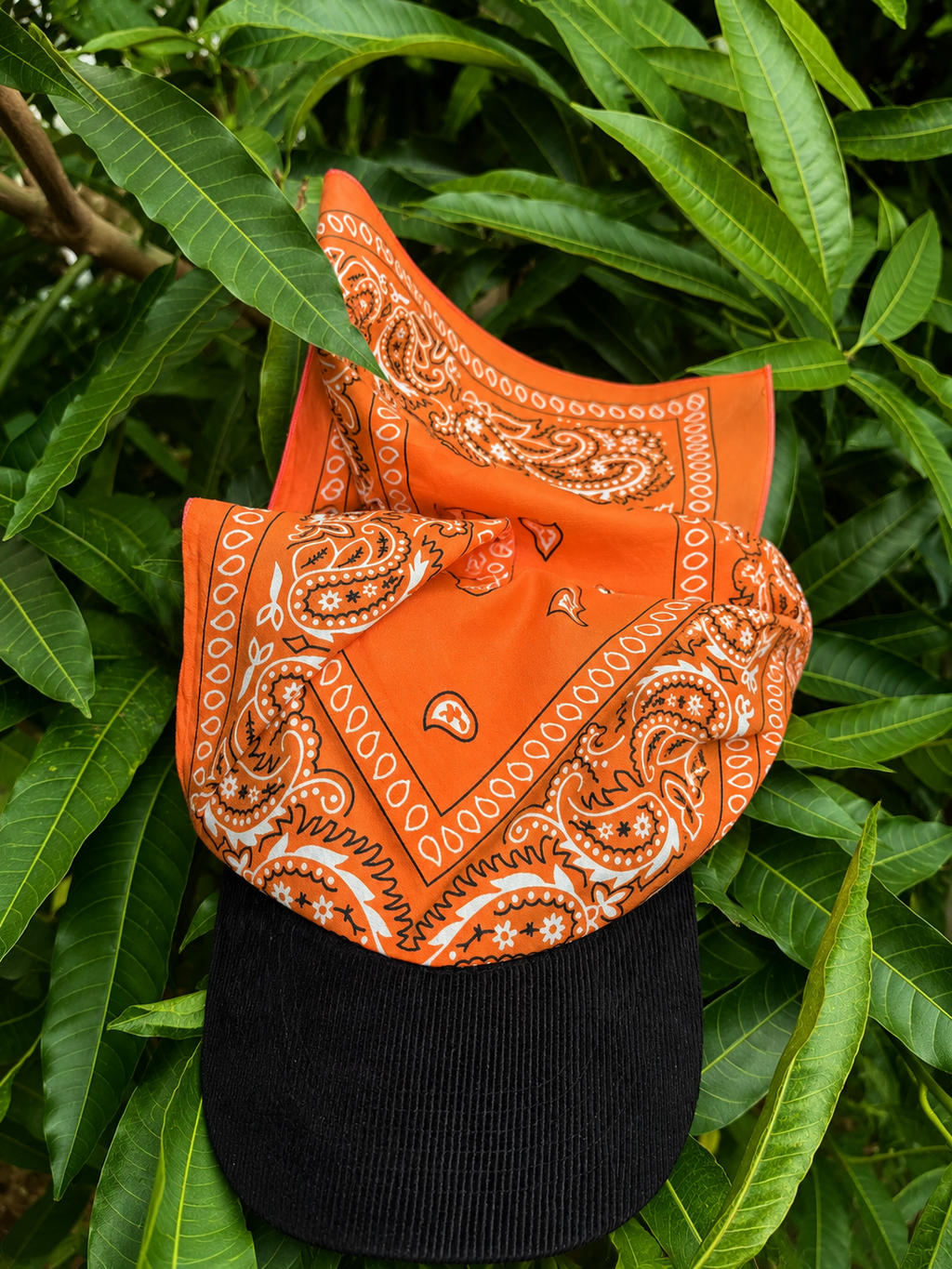 Sunset BandHat