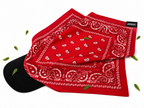 Desert Crimson BandHat