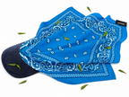 Sky Flex BandHat