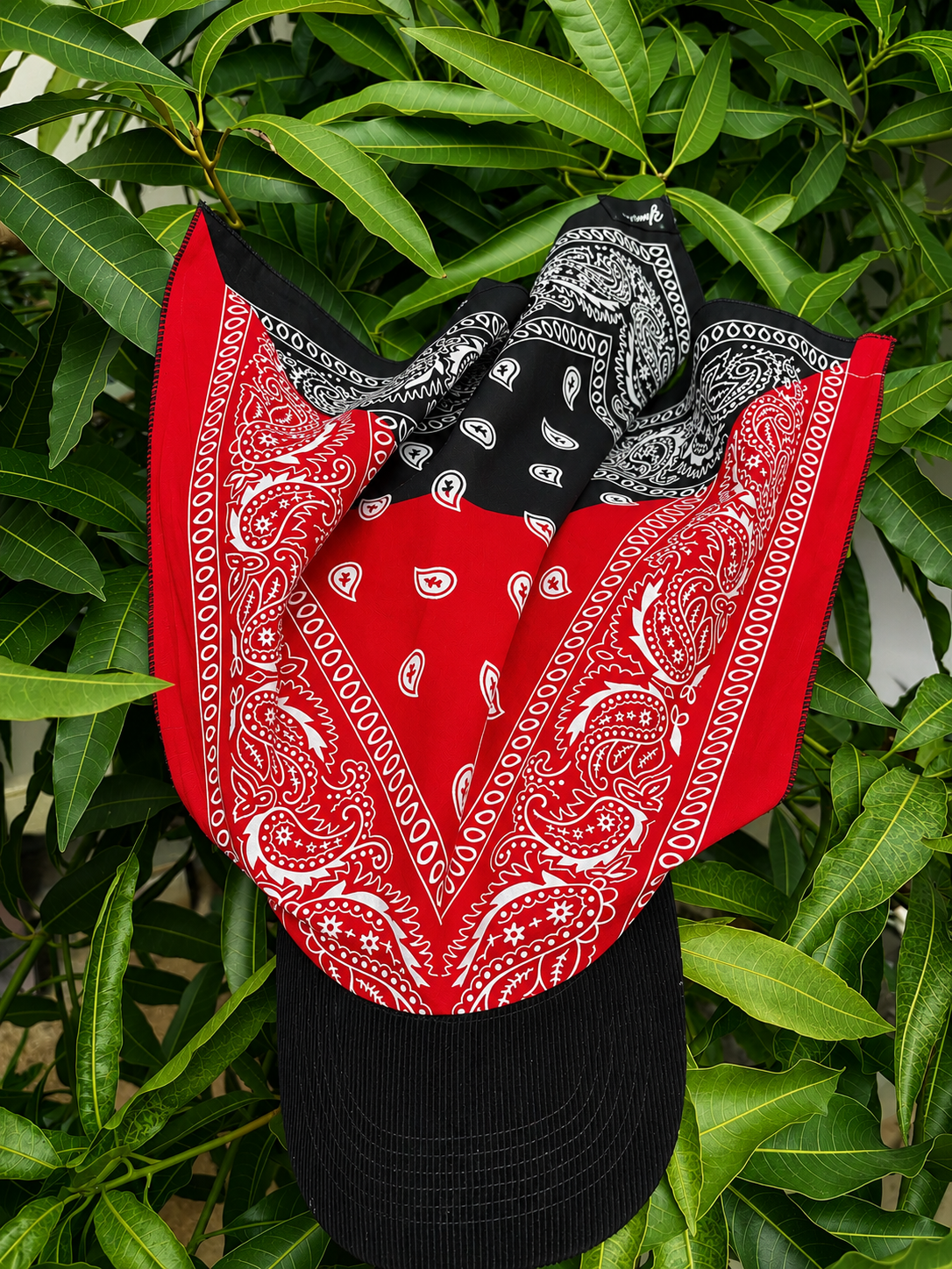 Bloodline BandHat