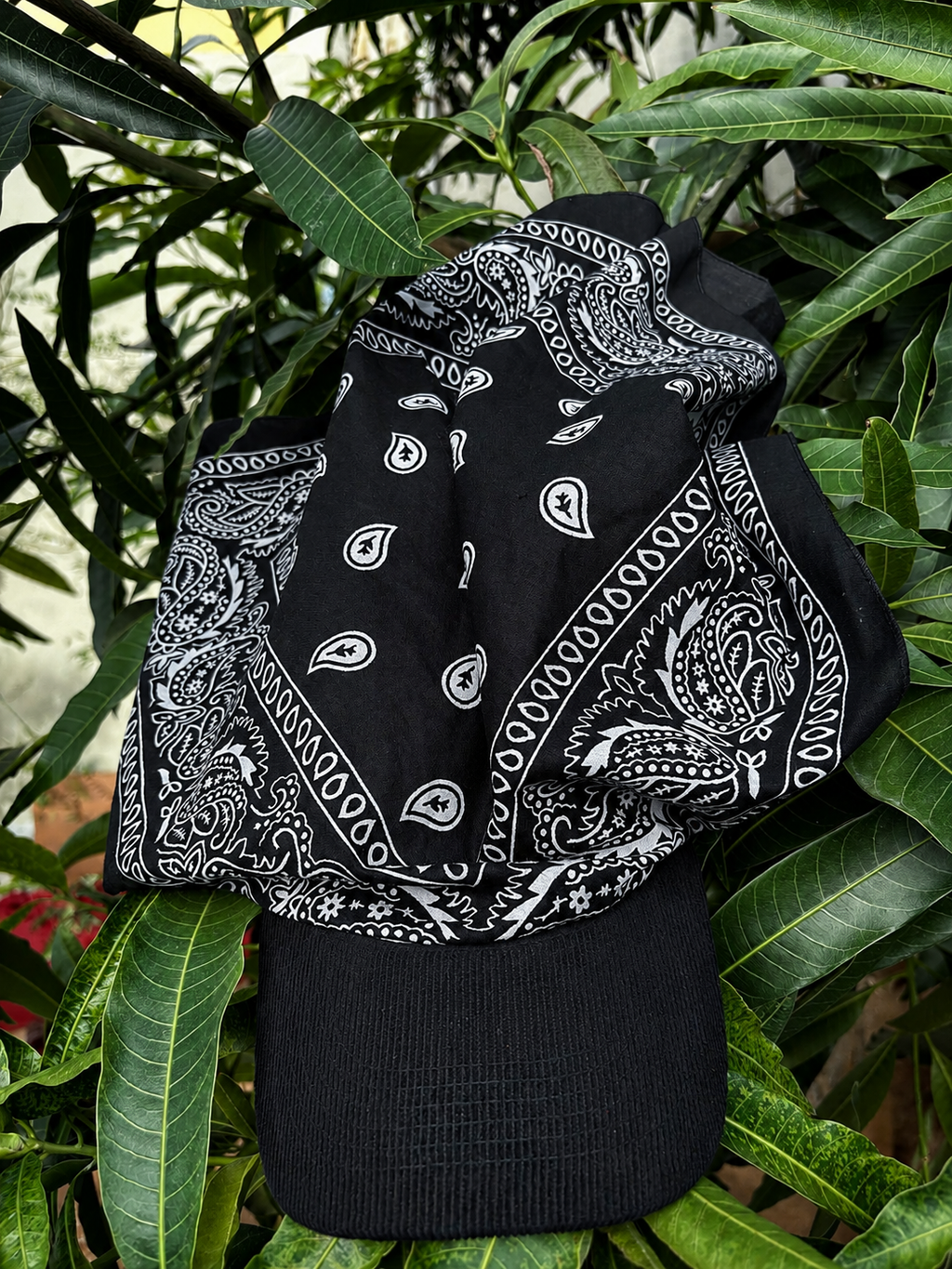Alpha Black Bandhat