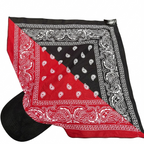 Bloodline BandHat