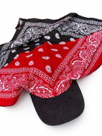 Bloodline BandHat